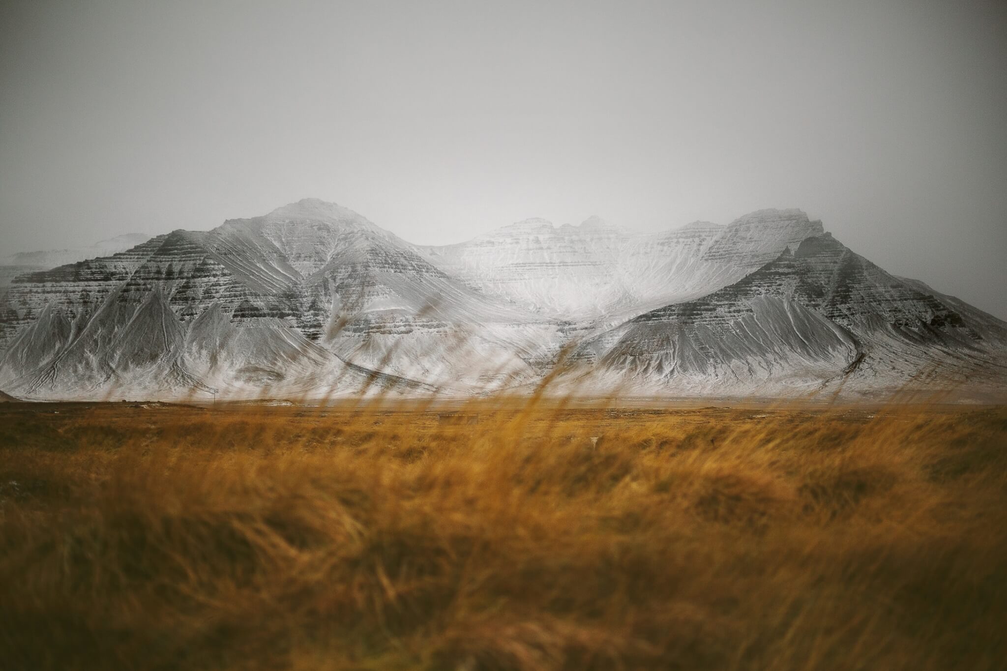 Heather_McGrath_Iceland_grass
