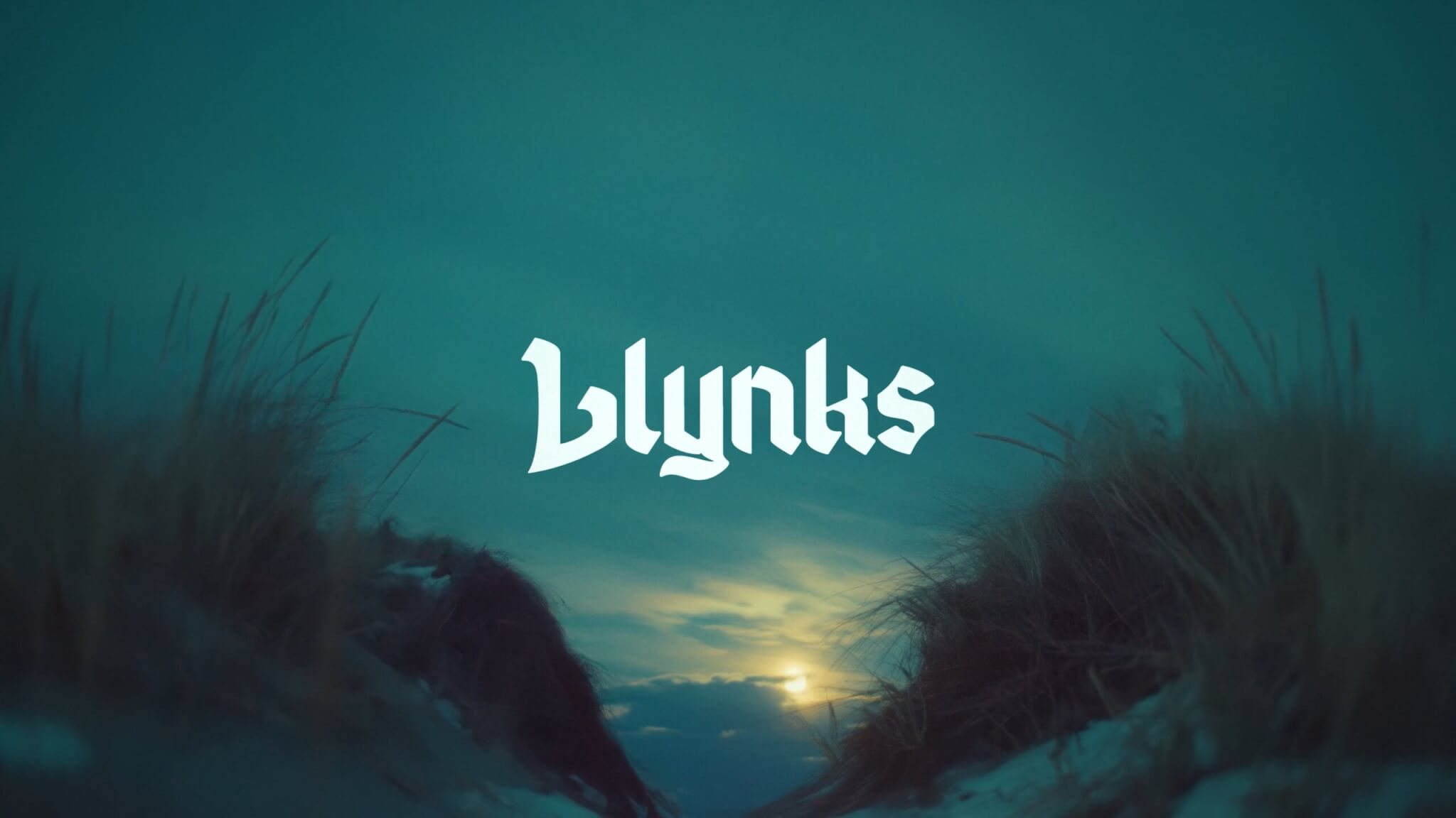 Llynks - 